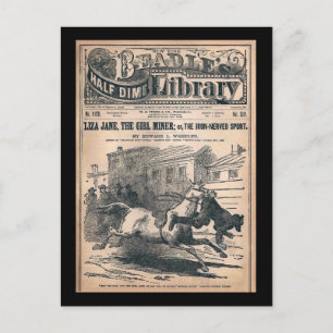 Beadles Half Dime Library No. 1120 1901 Postcard