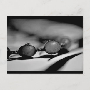 Beads Postcard