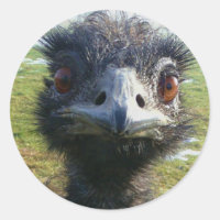 Beady Eyes EMU