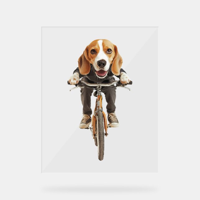 Beagle   acrylic sign (Front)