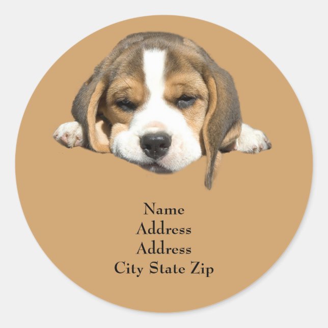 Beagle Address Label (Front)