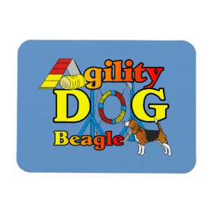 Beagle Agility Gifts Magnet