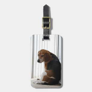 beagle attitude luggage tag