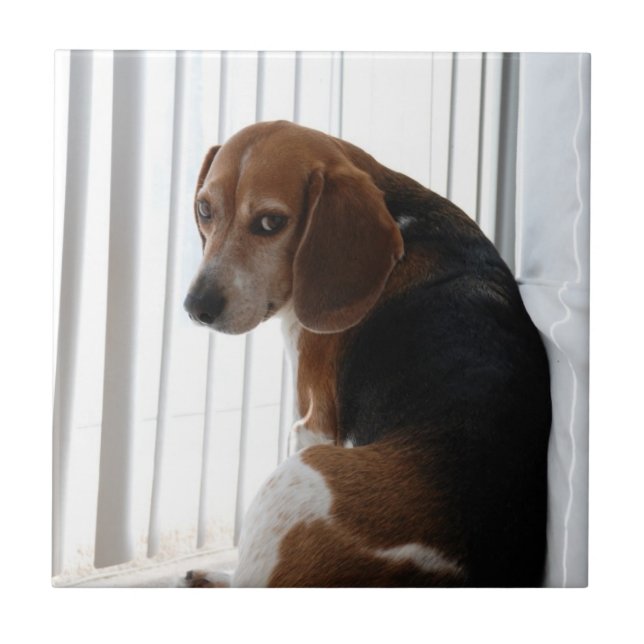beagle attitude tile (Front)
