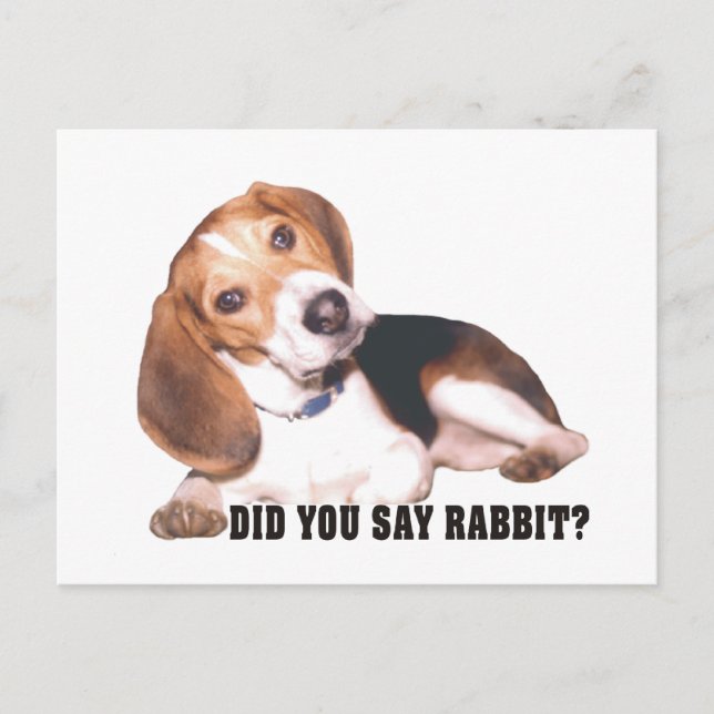 Beagle Avez-Vous Dit Rabbit ? Carte postale (Devant)