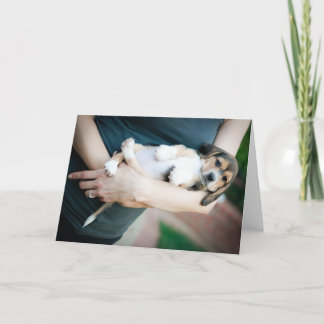 Beagle Babe In Arms Card