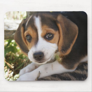 Beagle Baby Dog Mouse Pad