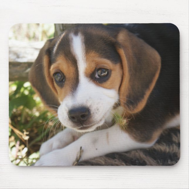 Beagle Baby Dog Mouse Pad (Front)
