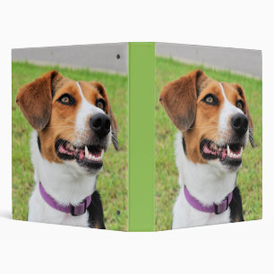 Beagle Binder