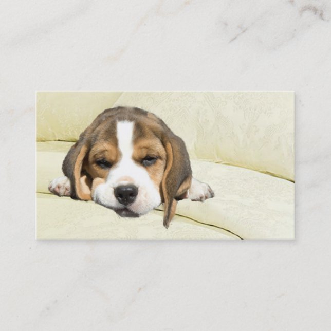 Beagle Breeder Business Card (Front)