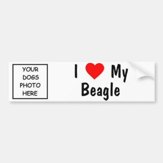 Beagle Bumper Sticker