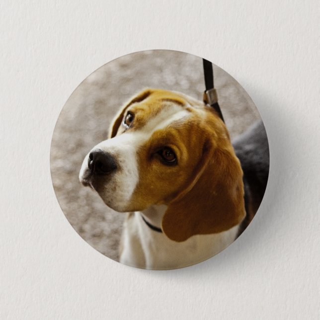 Beagle Button (Front)