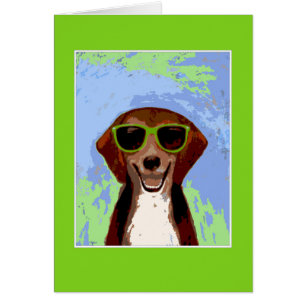 Beagle - cadre vert