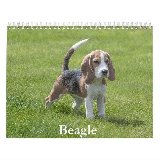 Beagle Calendar (Cover)