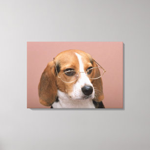 Beagle Canvas Print
