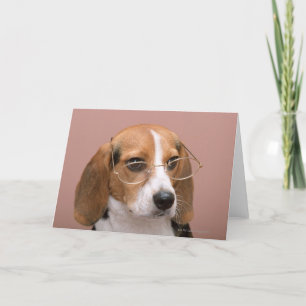 Beagle Card