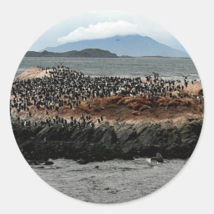 Beagle Channel Classic Round Sticker