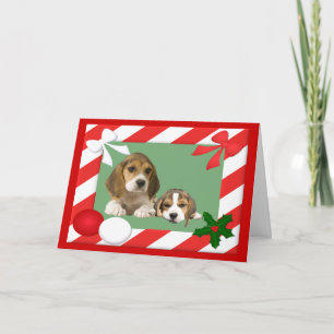 Beagle Christmas Card Frame