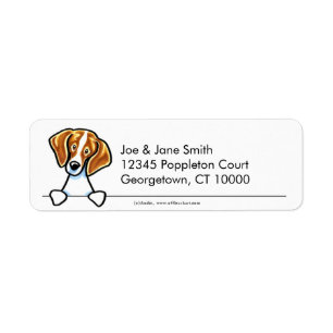 Beagle Clean & Simple
