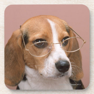 Beagle Coaster