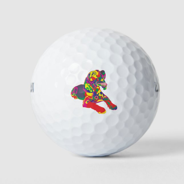 Beagle colour golf balls (Front)