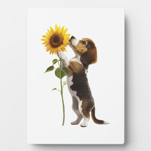 Beagle Copy Plaque (Front)