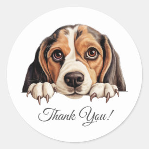 Beagle Cute Dog Thank You Classic Round Sticker