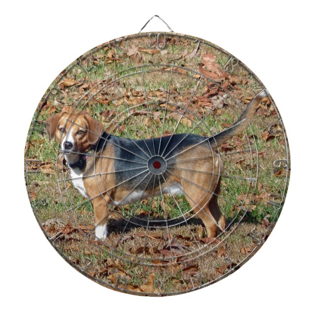 Beagle Dartboard (Front)