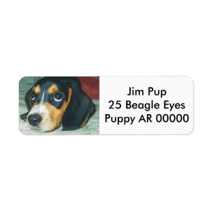 Beagle de gros yeux mignon