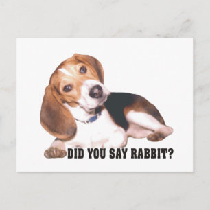 Beagle Did You Say Rabbit? Postcard