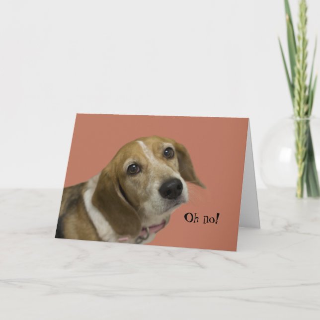 Beagle Dog Birthday Card (Front)