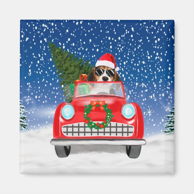 Beagle Dog Driving Car In Snow Christmas  Magnet (Front)