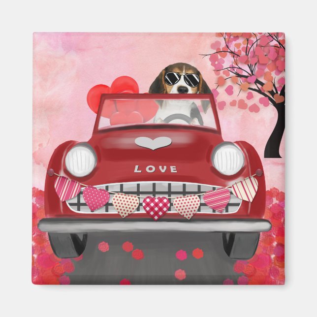 Beagle Dog Driving Car with Hearts Valentine's  Magnet (Front)