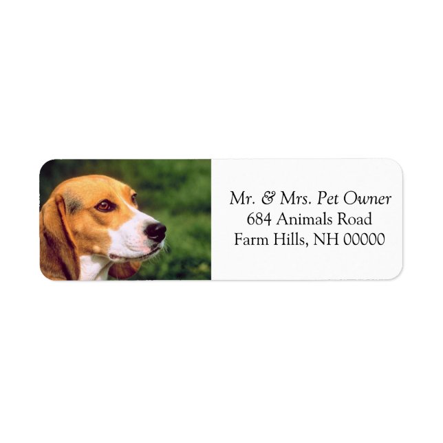 Beagle Dog Face Return Address Mailing Stickers (Front)