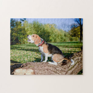Beagle Dog Howling on a Log Puzzle