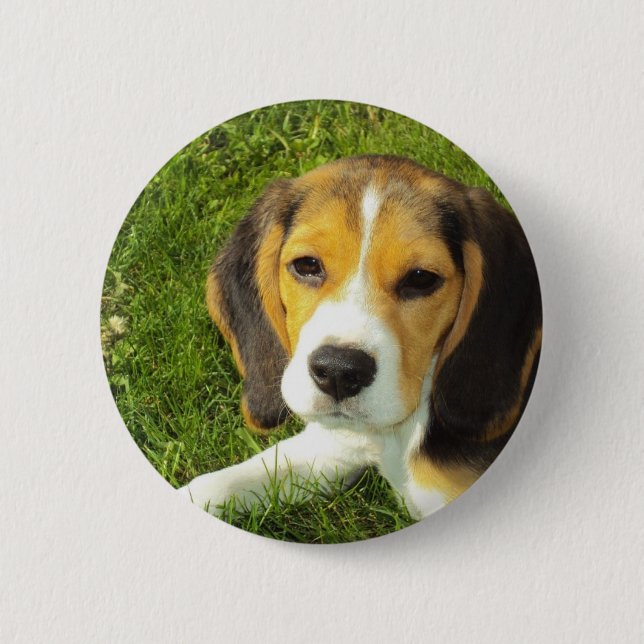 Beagle Dog Pet Animals Peace Love 2 Inch Round Button (Front)