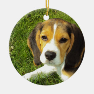 Beagle Dog Pet Animals Peace Love Ceramic Ornament
