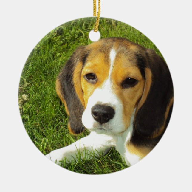 Beagle Dog Pet Animals Peace Love Ceramic Ornament (Front)
