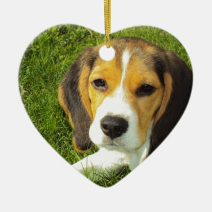 Beagle Dog Pet Animals Peace Love Ceramic Ornament