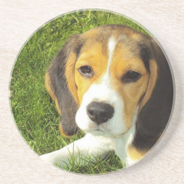Beagle Dog Pet Animals Peace Love Coaster (Front)