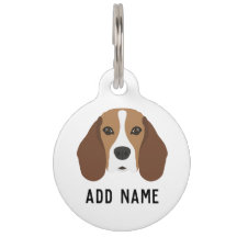 Beagle Dog