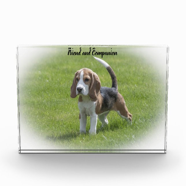 Beagle Dog Photo Block (Front)