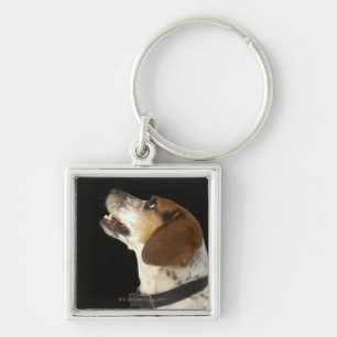 Beagle dog with black collar profile keychain