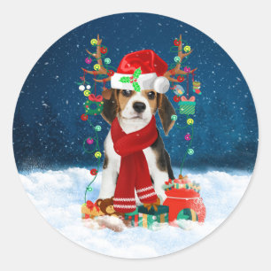 Beagle dog with Christmas gifts Classic Round Sticker