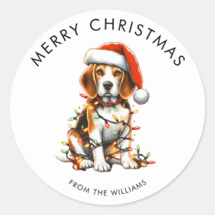 Beagle Dog Wrapped In Christmas Light Classic Round Sticker