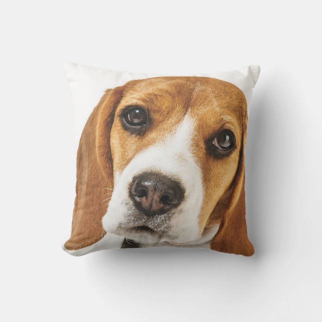 BEAGLE FACE FOCUS THROW PILLOW (Front)
