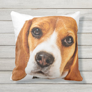 BEAGLE FACE FOCUS THROW PILLOW