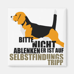 Beagle Geschenke Magnet