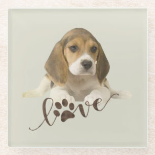 Beagle glass coaster