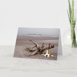 Beagle Greeting Card